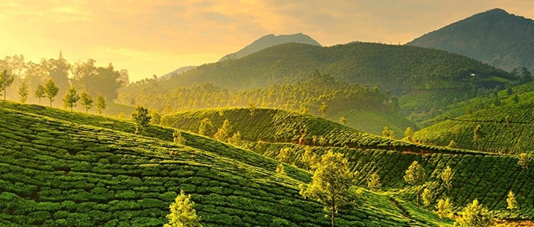 munnar